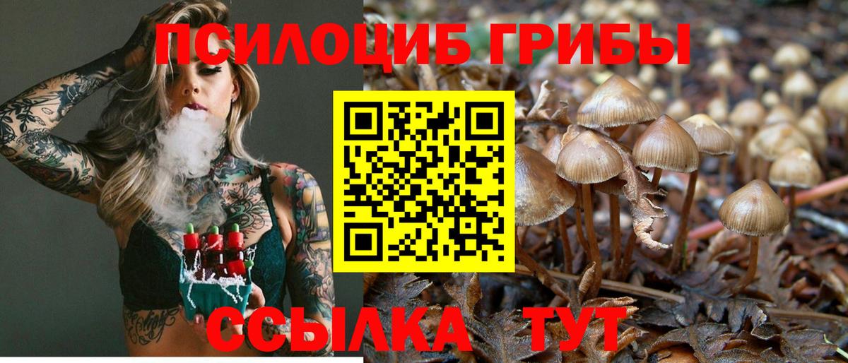 Псилоцибиновые грибы Psilocybe Лангепас
